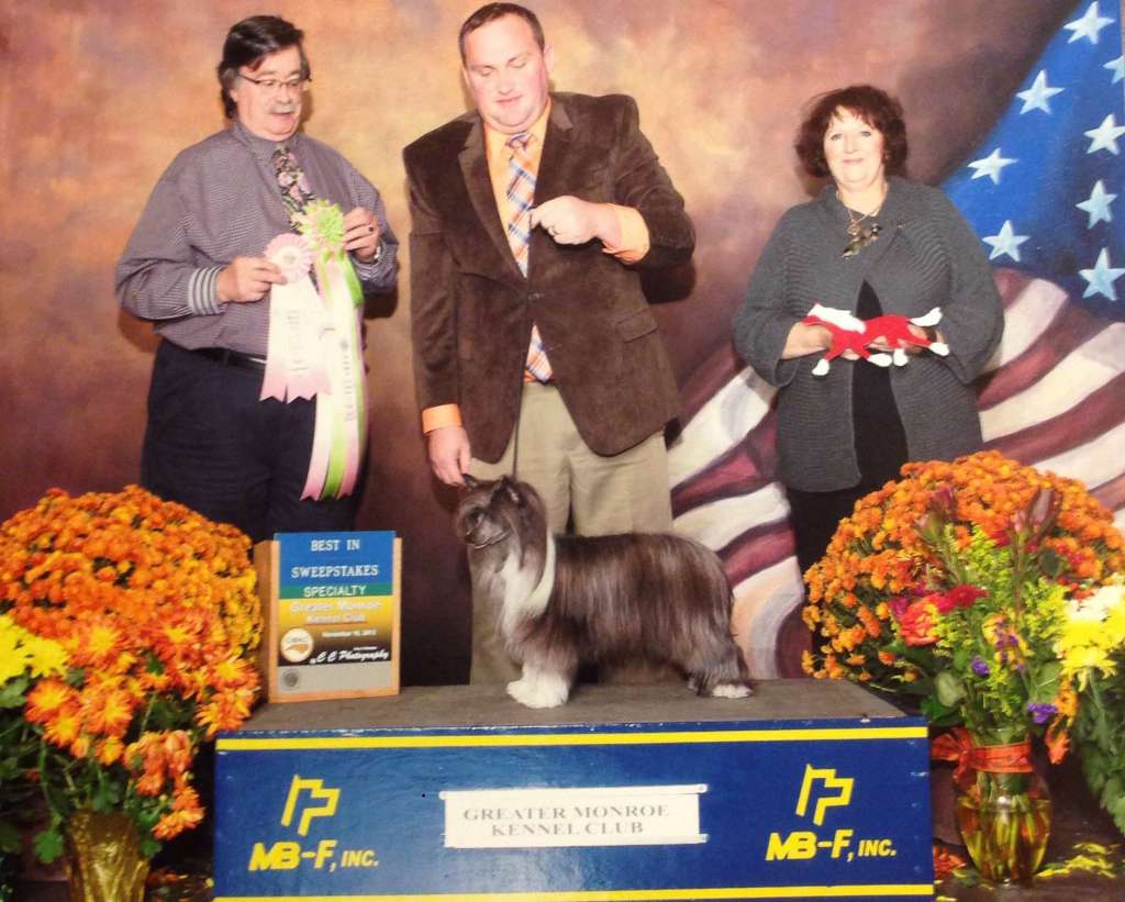 Breezy Meadows Chinese Cresteds Lady