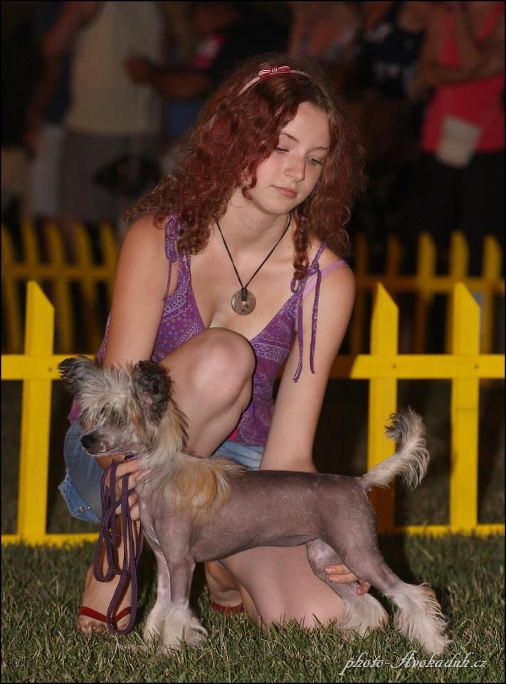 Bentley  Shahrastani