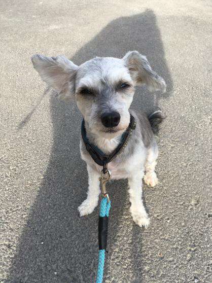 Fiabella's Disney Princess