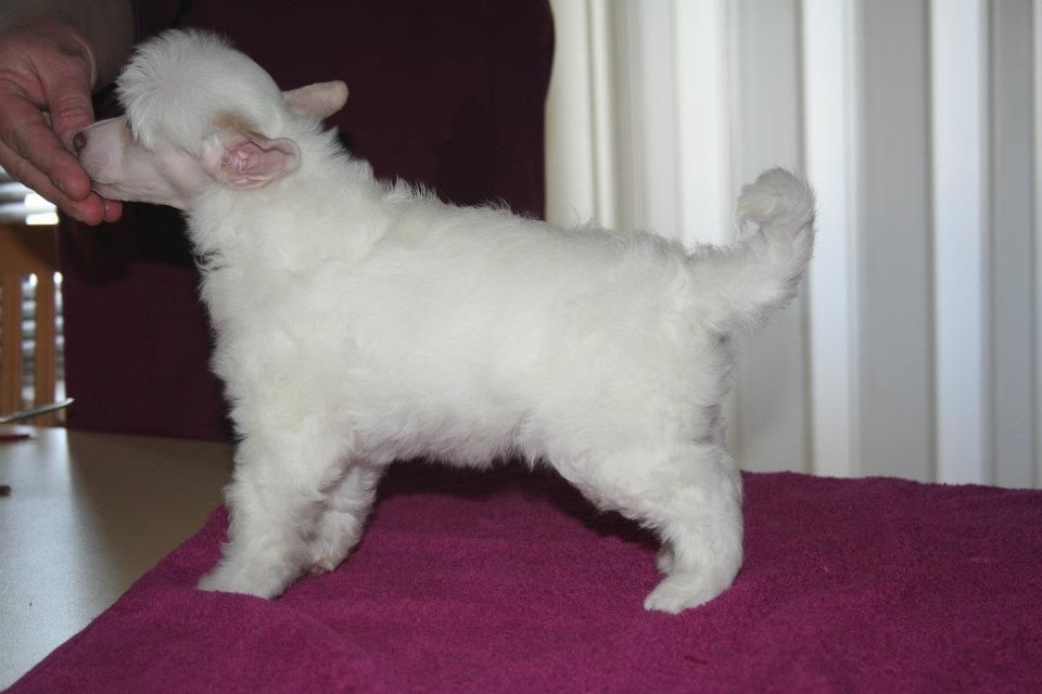 Zorrazo Truth Or Dare