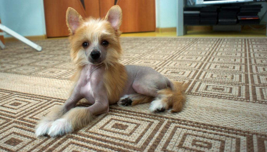 Endless Kiss Bright Ray