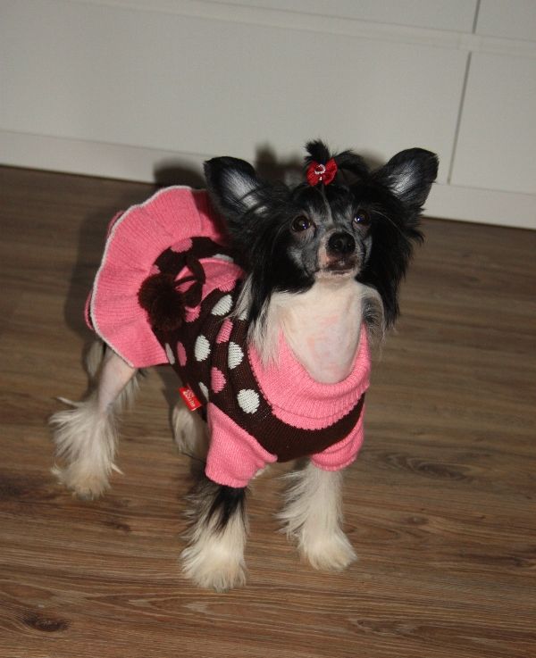 Apriori Vip Ava Bastinda from Liris