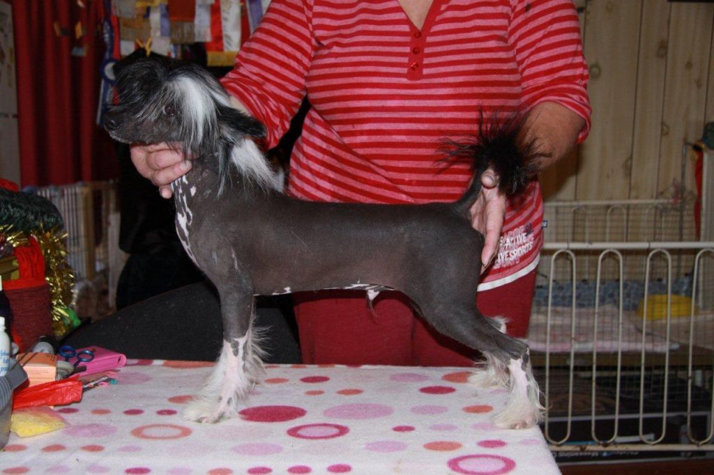 Chinois Dark N Stormy