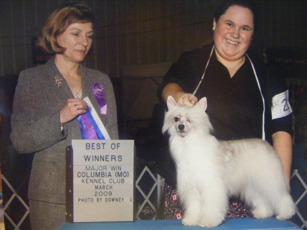 Mei San's Tator Salad