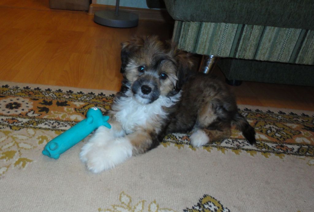 Kristal Yaniry Champagne in Ice