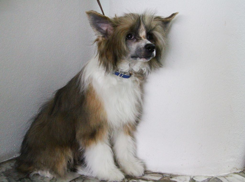 Kristal Yaniry Heaven Sent