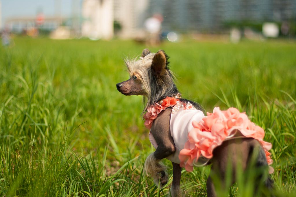 Sasquehanna Reklanowka