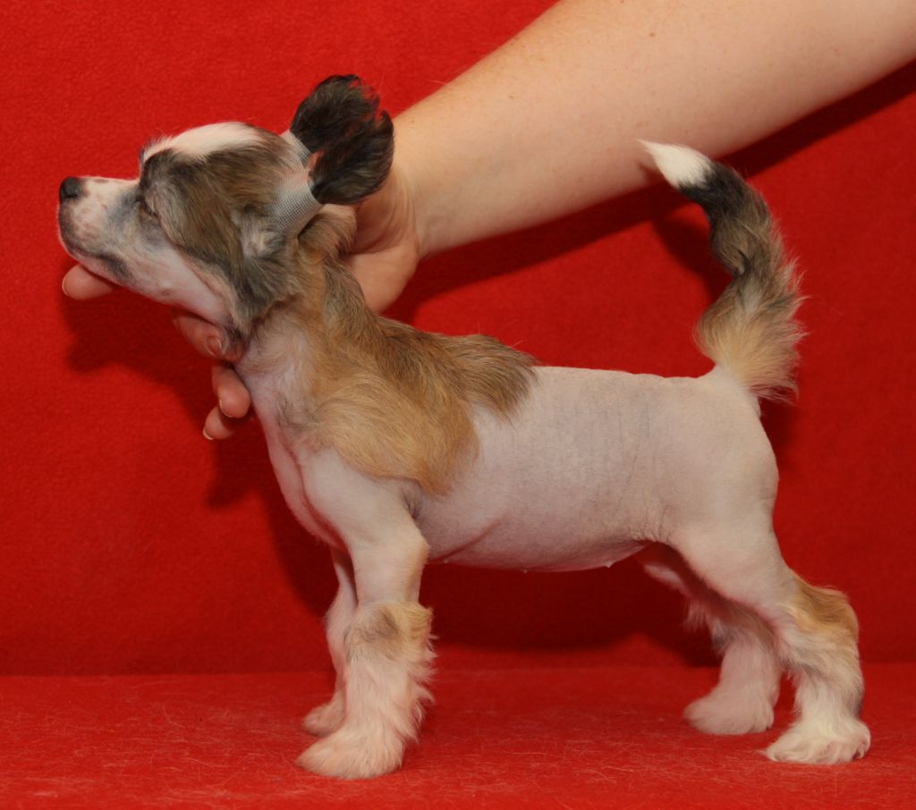 Premier Mari Princesa Nuri