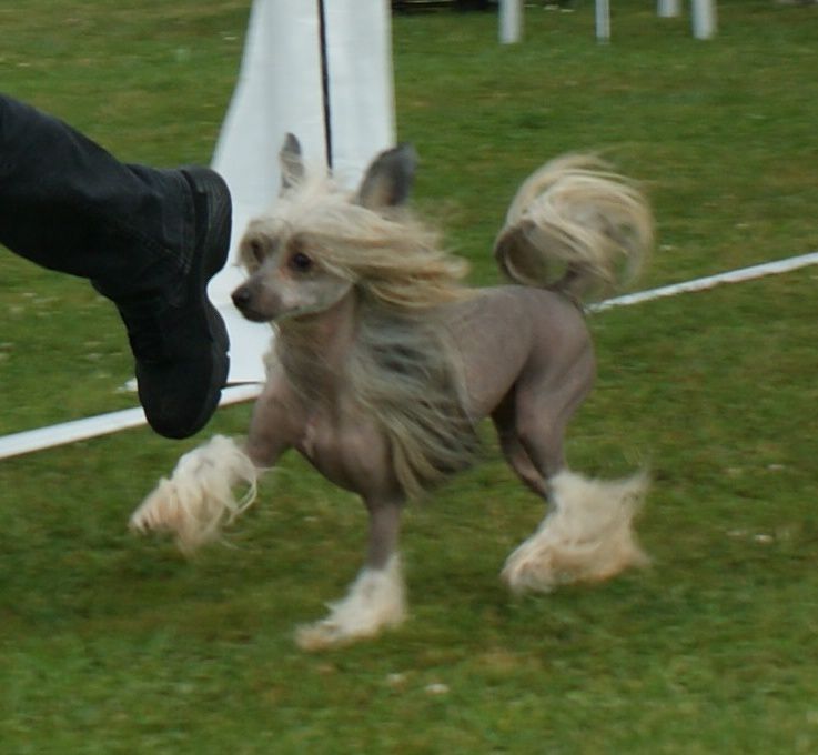 Blowin'in The Wind Of Gizzy's Home