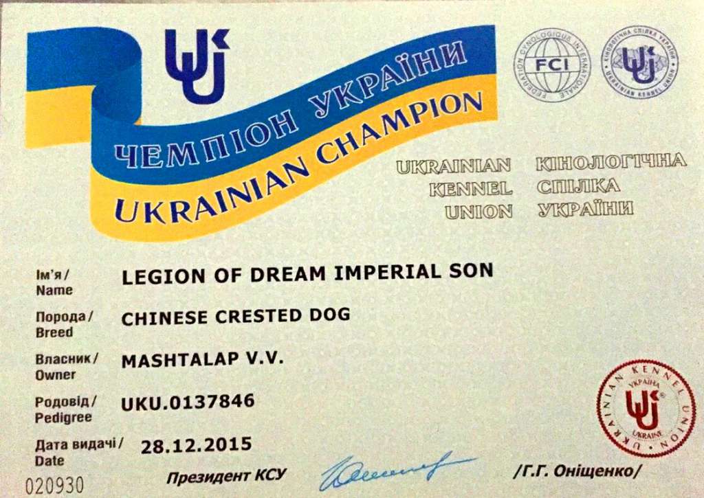 Legion Of Dream Imperial Son