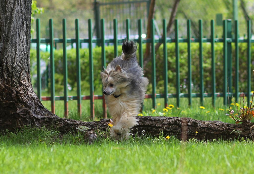 El Salvador Artagasamazis