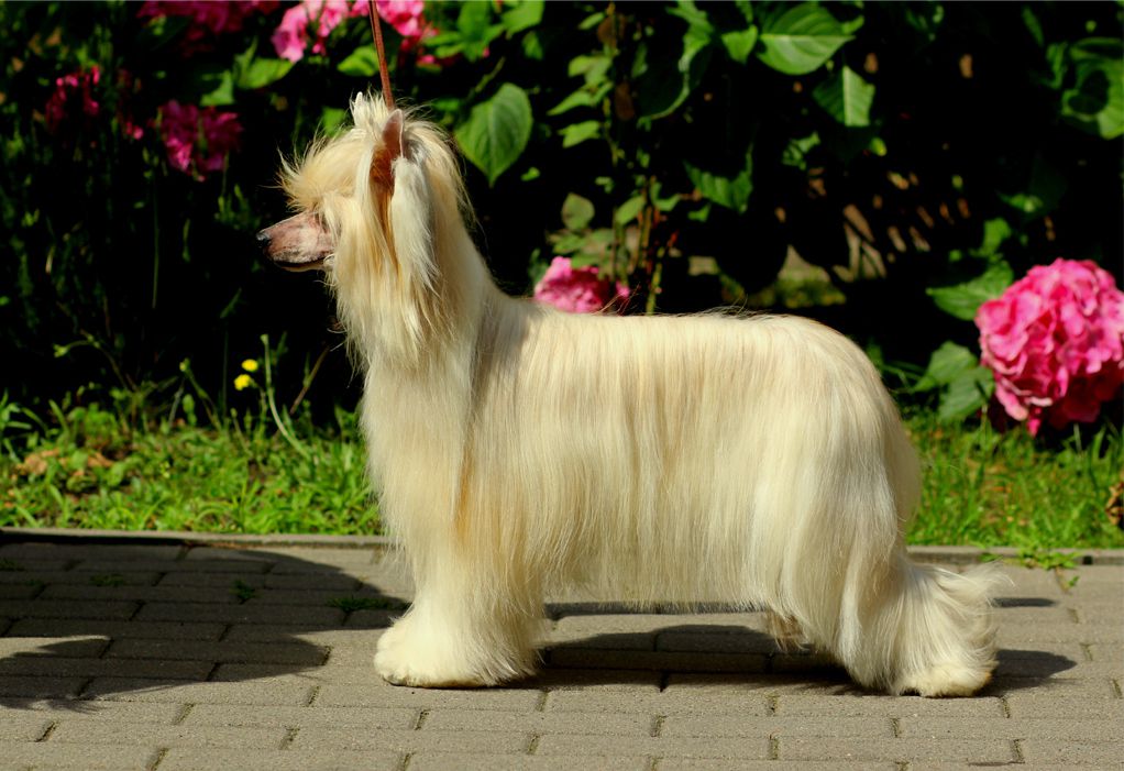 Ekwador Artagasamazis