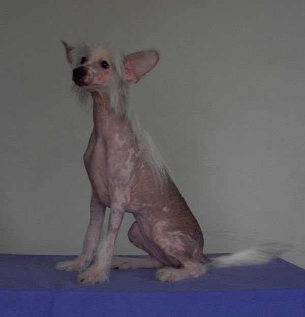 Secret Endorfina Uszczesliwia