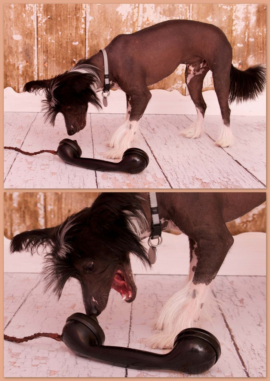 Calvin Klein Santa la Vida