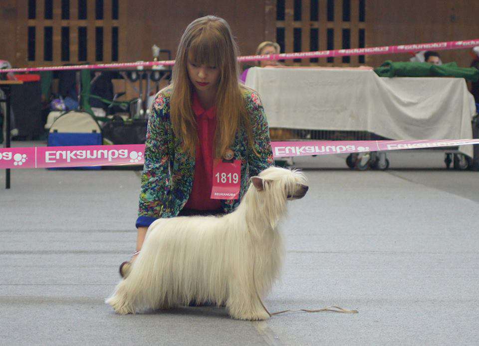 Love You Just Like Summer