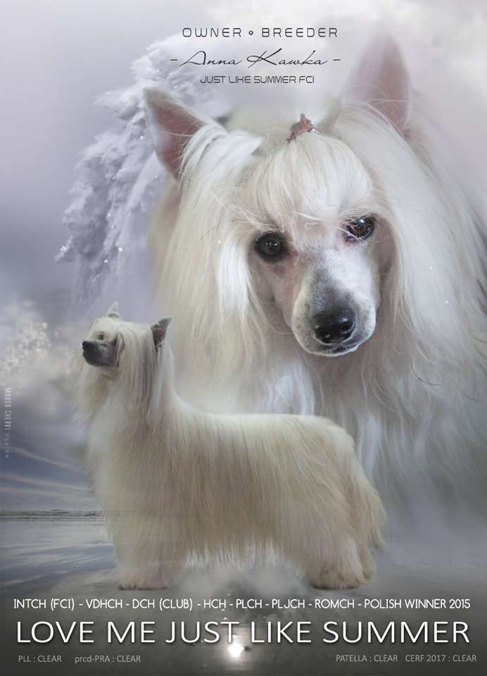 Love Me Just Like Summer