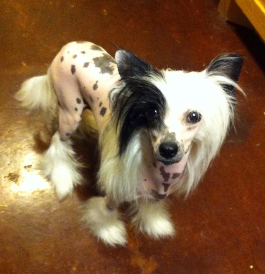 Daretobebare Wonderstruck