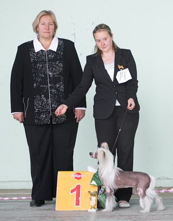 Imira Indzhi  iz Strany Kutha