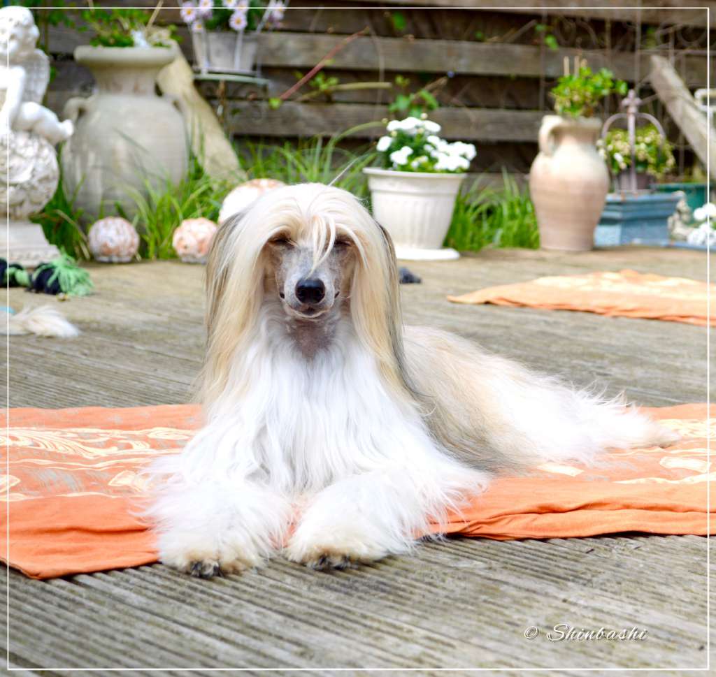 Caipirinha's One Hot Minute