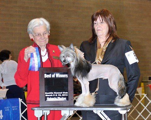 Olivera's Hold On Tight Muchacho HL