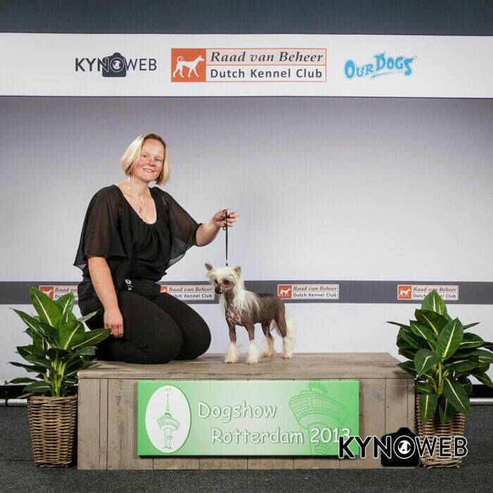 Happy Dancing Red Rose