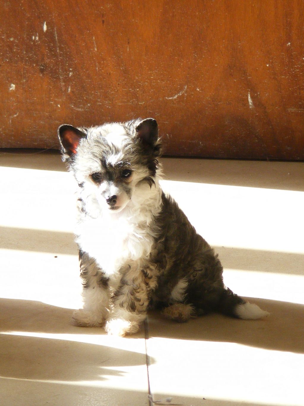 Dîndhâli Haute Couture by Madhatter