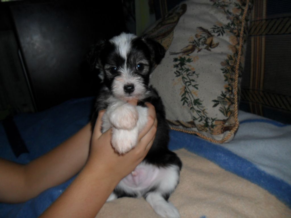 Valmond Raymond Black