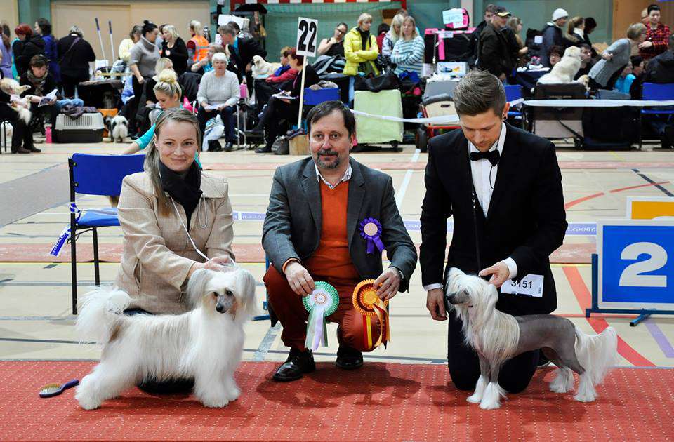 Arte Figure Hojo Hojo