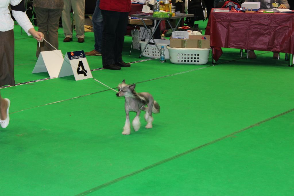 Charuyuschiy Soblazn Rolando Ri