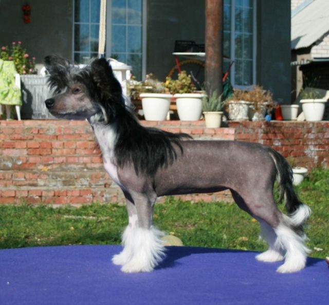 Showplace Tyra Banks