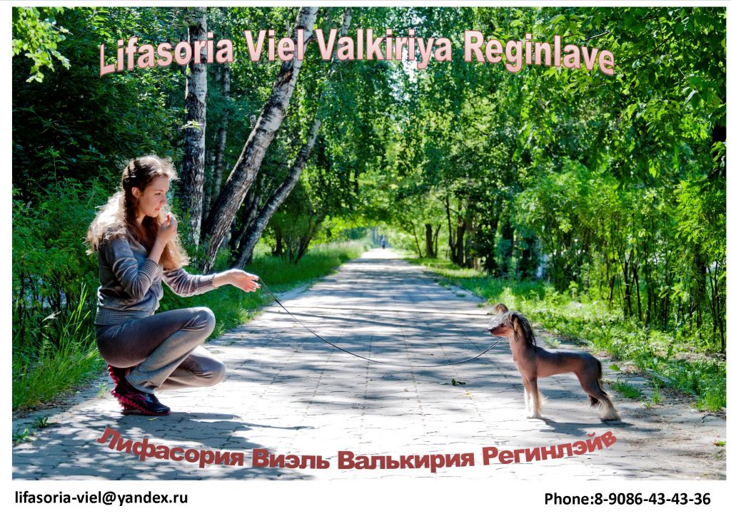 Lifasoria Viel Valkiriya Reginlave