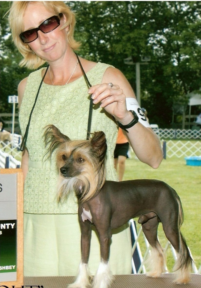 Curios Little Big Man