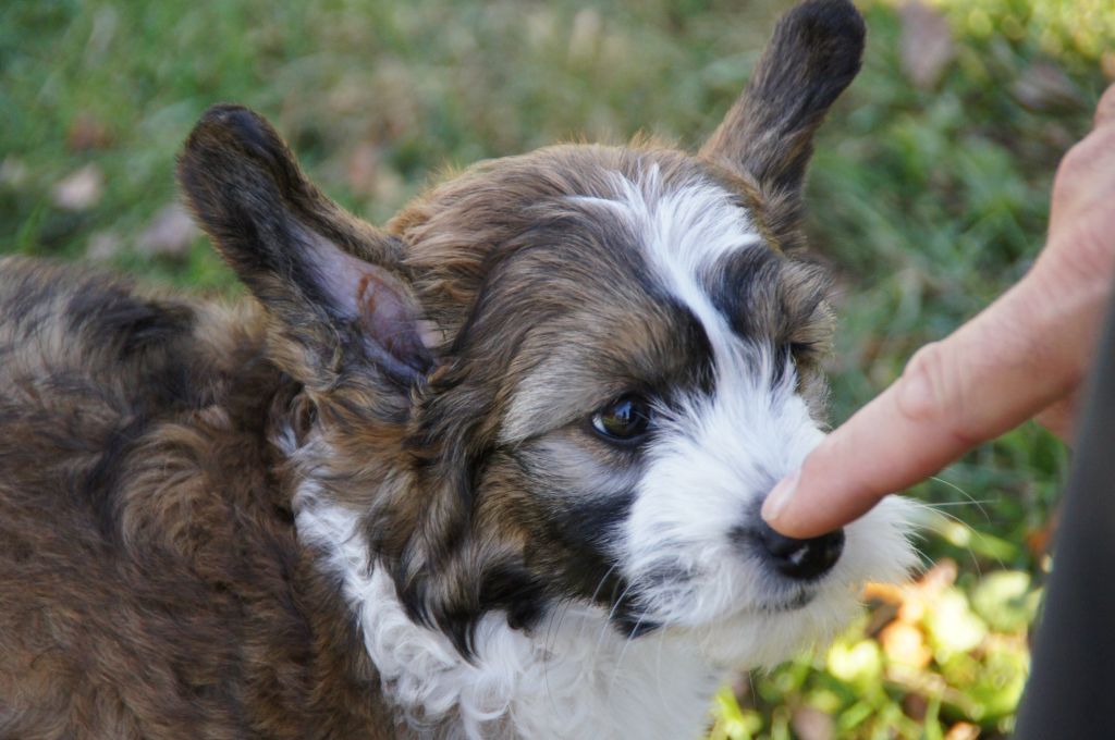 WinTales Have you Met Betty Paige