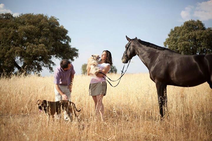 Magnus Staff Eloy Briefs