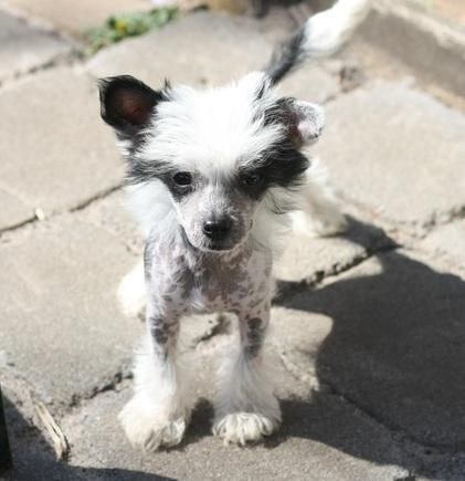 Liliah Underneath Your Clothes