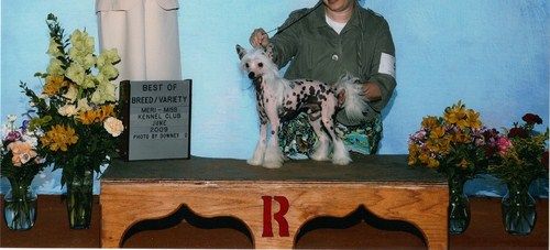 A'eden Do A Good Deed