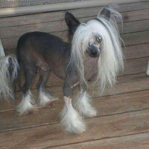 Del Sol's Enchanted Moment in Time