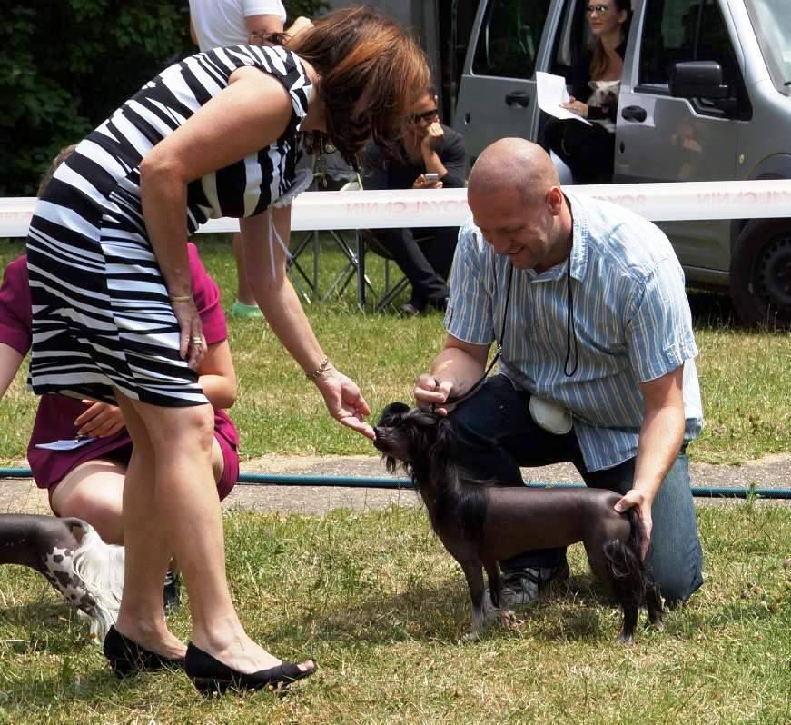 Dáirine Diamond of the Night