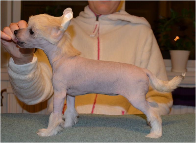 Baby Pearl Pennsylvania