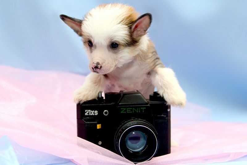 Aston Martin iz Serebryanogo raya