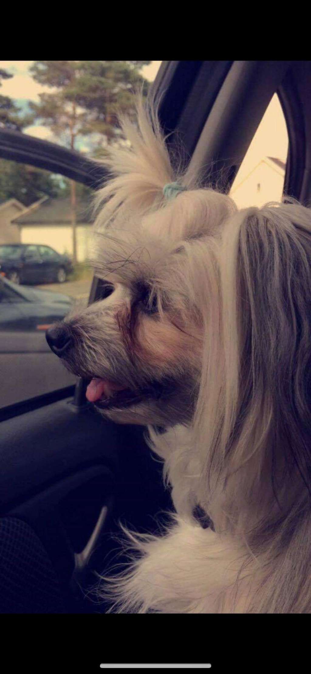 Poulot's Head Over Heels