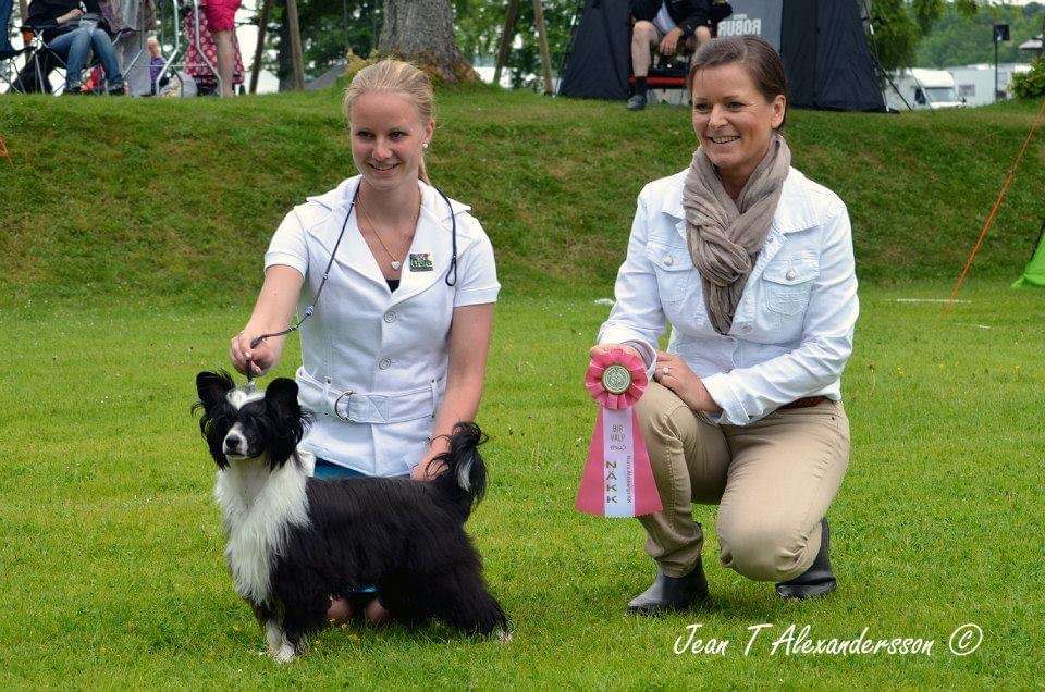 Neddies Bring Joy To Life