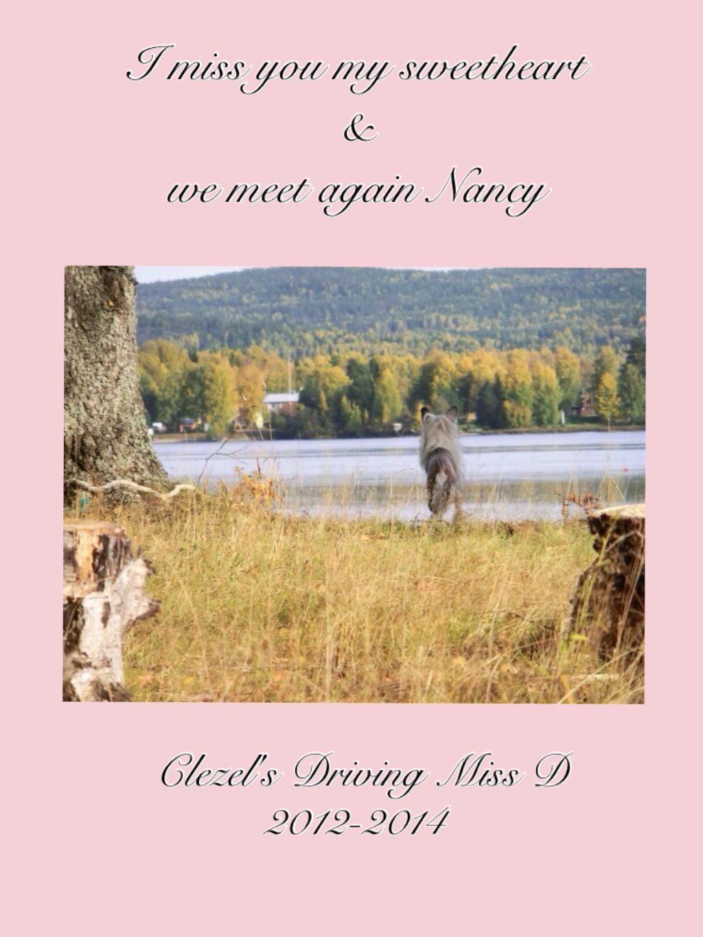 Clezel's Driving Miss D