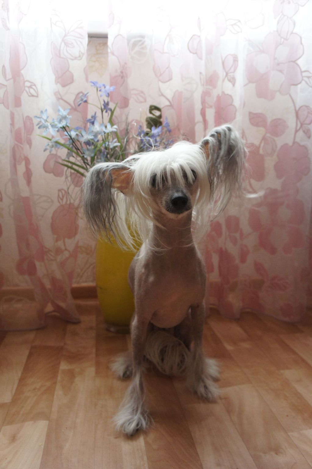 Mono Liza Moy Zvezda