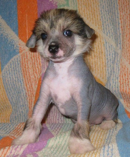 Angel O' Check Valet.