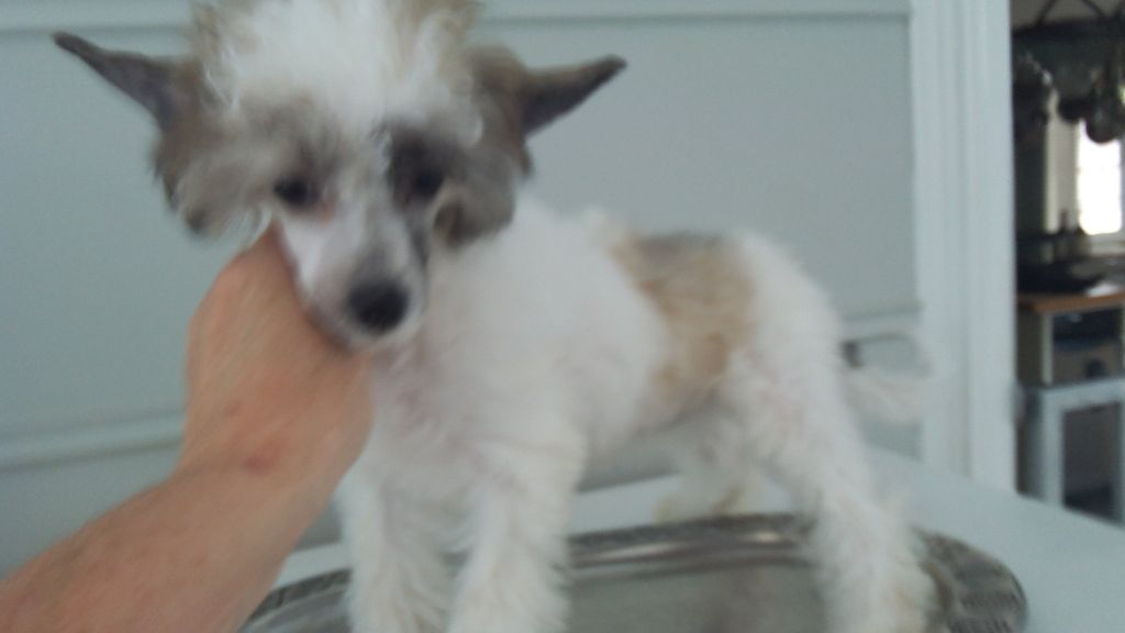 Creekside's Fairytail Bride