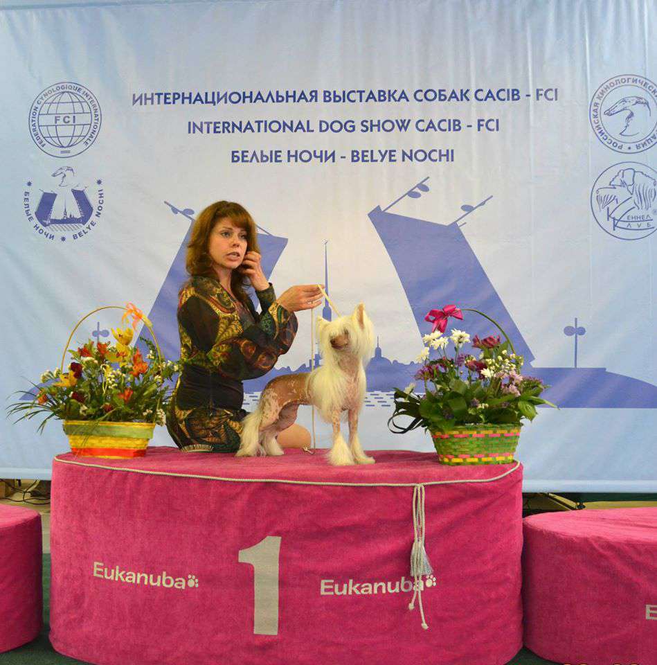 Treysi Super Allegro