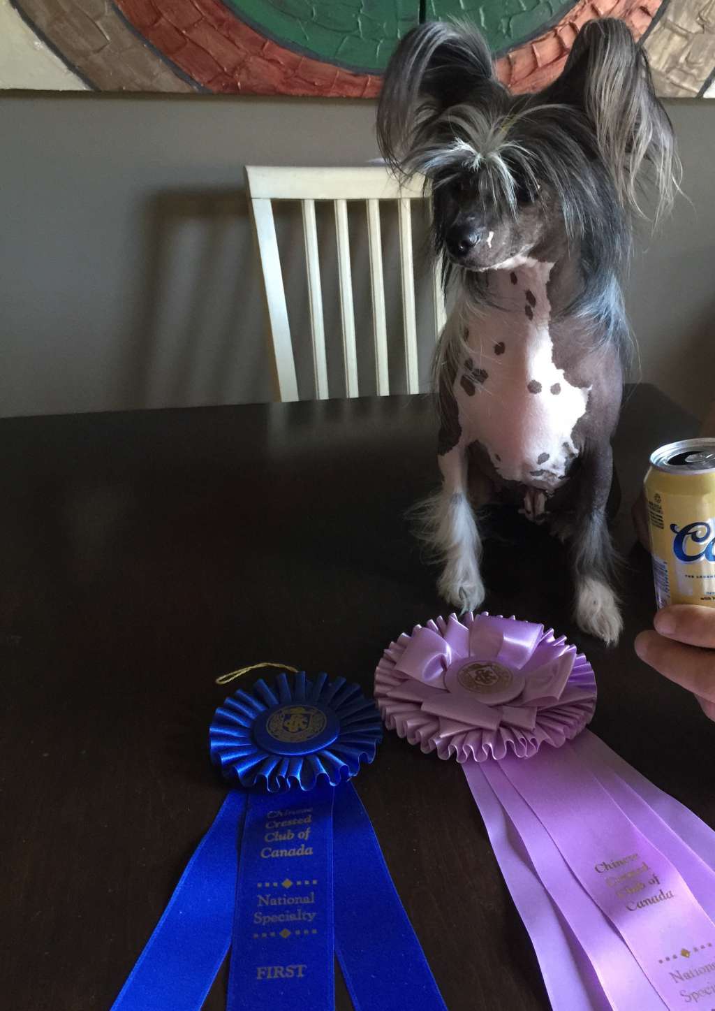 Aeon's Tango Shoes at Gardine