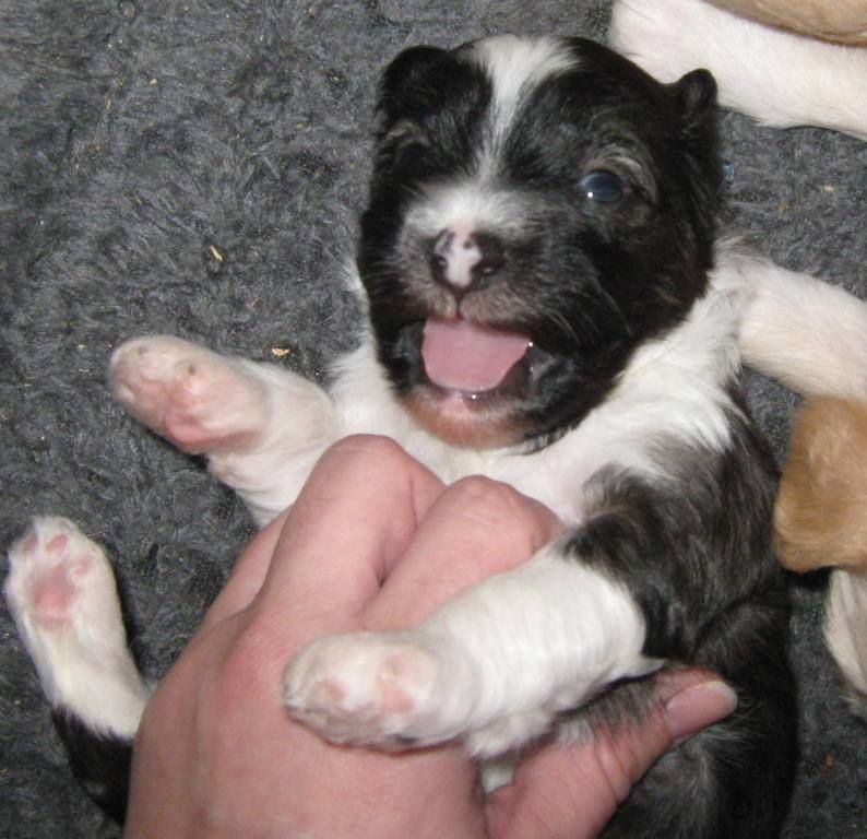 Sterling Suited in Armor