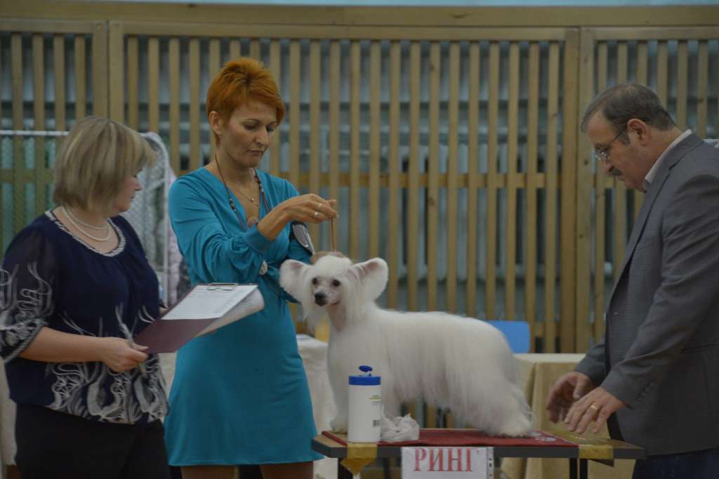 Moelmo's Little Miss Attitude